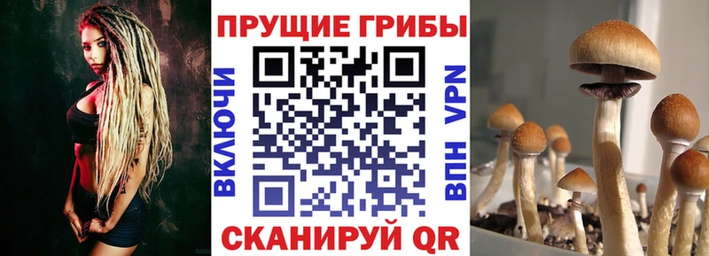 Галлюциногенные грибы ЛСД  Новоалтайск 