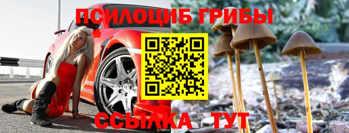 Галлюциногенные грибы Magic Shrooms  Вход с VPN  Новоалтайск 