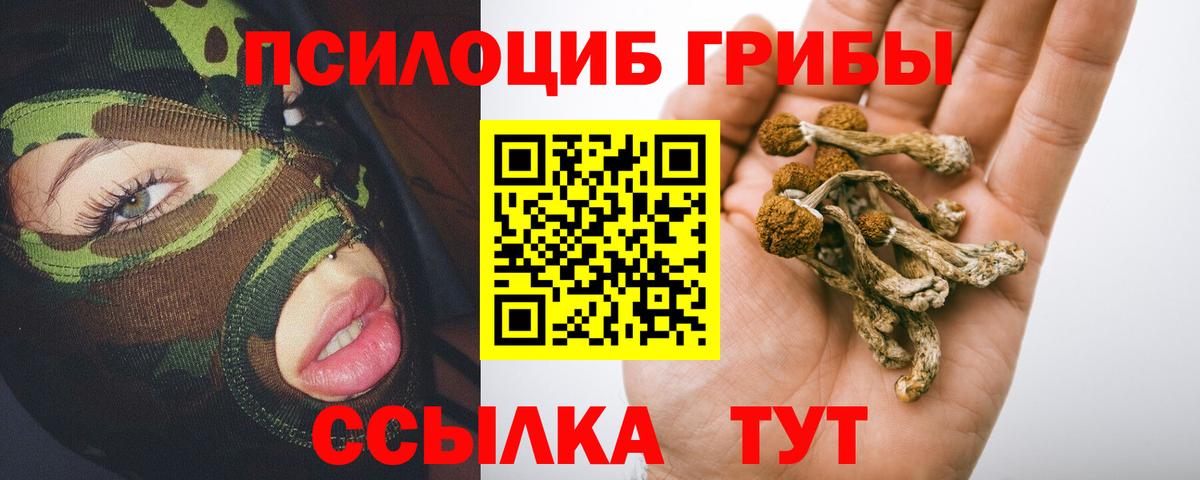 Псилоцибиновые грибы Cubensis Новоалтайск
